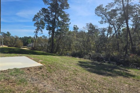 House in Ocala, Florida 4 bedrooms, 170.29 sq.m. № 1612936 - photo 20