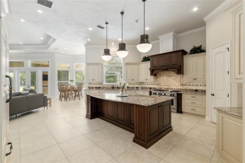 Villa ou maison à vendre à Newberry, Floride: 5 chambres, 638.33 m2 № 1651628 - photo 21