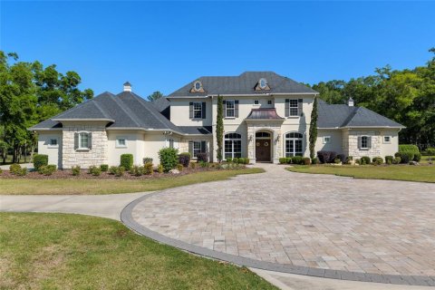 Villa ou maison à vendre à Newberry, Floride: 5 chambres, 638.33 m2 № 1651628 - photo 8