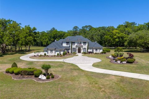 Villa ou maison à vendre à Newberry, Floride: 5 chambres, 638.33 m2 № 1651628 - photo 3