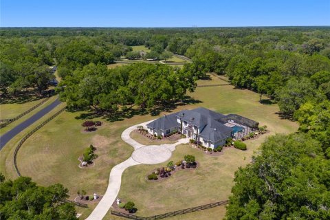 Villa ou maison à vendre à Newberry, Floride: 5 chambres, 638.33 m2 № 1651628 - photo 6