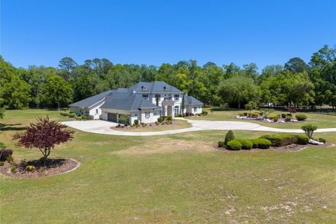 Villa ou maison à vendre à Newberry, Floride: 5 chambres, 638.33 m2 № 1651628 - photo 4