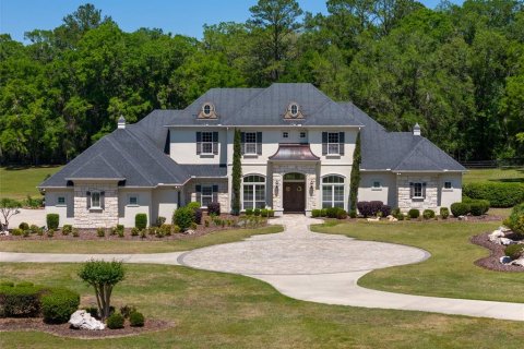 Villa ou maison à vendre à Newberry, Floride: 5 chambres, 638.33 m2 № 1651628 - photo 1