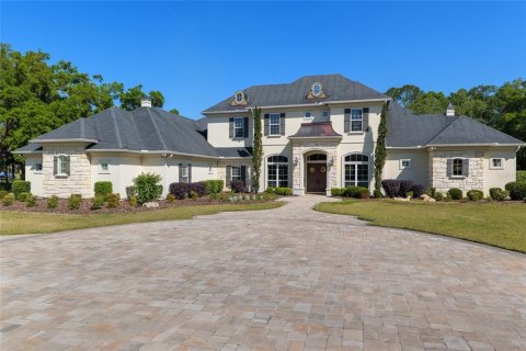 Villa ou maison à vendre à Newberry, Floride: 5 chambres, 638.33 m2 № 1651628 - photo 9