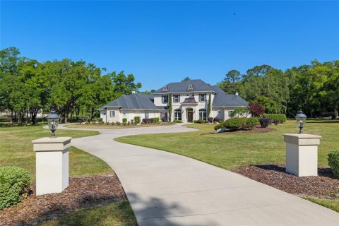 Villa ou maison à vendre à Newberry, Floride: 5 chambres, 638.33 m2 № 1651628 - photo 7