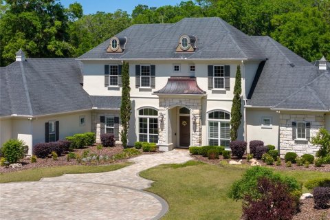 Villa ou maison à vendre à Newberry, Floride: 5 chambres, 638.33 m2 № 1651628 - photo 2