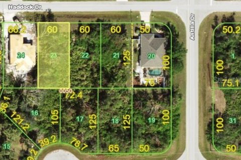 Land in Rotonda, Florida № 2206059 - photo 4