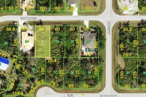 Land in Rotonda, Florida № 2206059 - photo 5