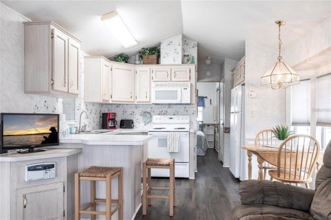 Appartement à louer à Punta Gorda, Floride: 1 chambre, 37.9 m2 № 2166479 - photo 3