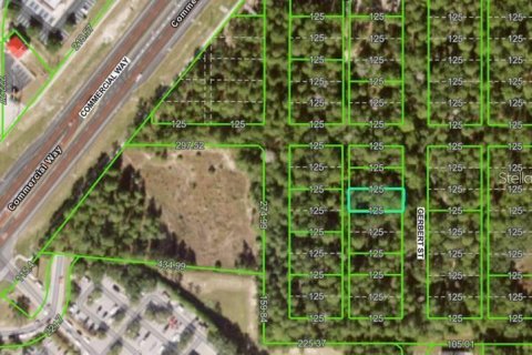 Land in Spring Hill, Florida № 2214142