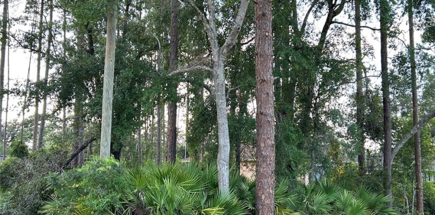 Land in DeLand, Florida № 1781383