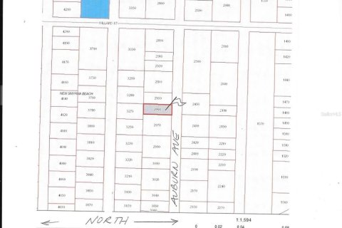 Land in New Smyrna Beach, Florida № 2163804 - photo 3