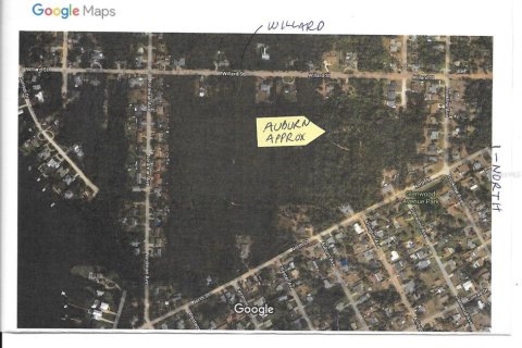 Land in New Smyrna Beach, Florida № 2163804 - photo 2