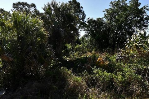 Land in North Port, Florida № 2215030 - photo 3
