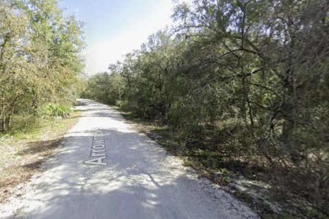 Terreno en venta en Webster, Florida № 2394321 - foto 2