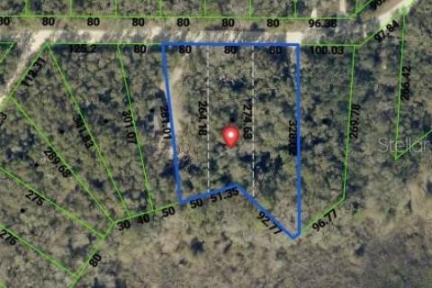 Terreno en venta en Webster, Florida № 2394321 - foto 8