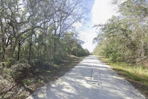 Terreno en venta en Webster, Florida № 2394321 - foto 3