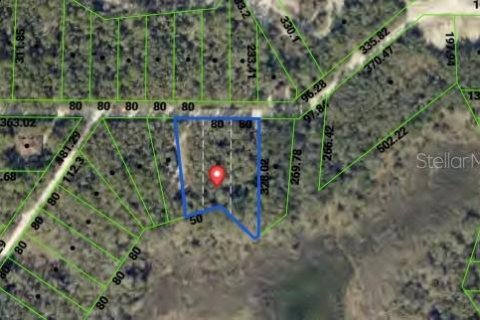 Terreno en venta en Webster, Florida № 2394321 - foto 7