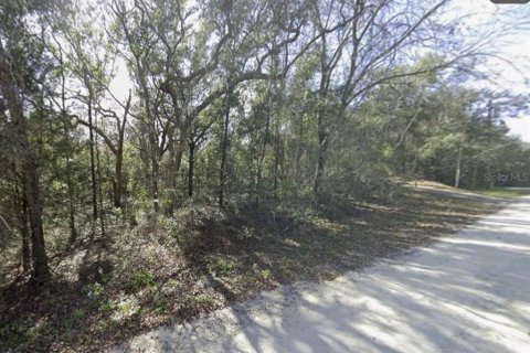 Terreno en venta en Webster, Florida № 2394321 - foto 4