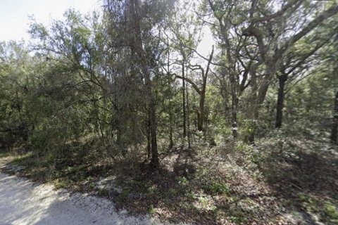 Terreno en Webster, Florida № 2394321