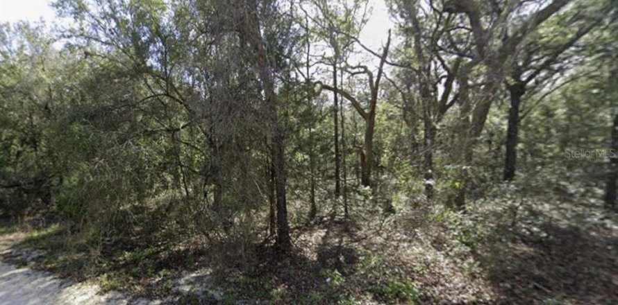 Terreno en Webster, Florida № 2394321
