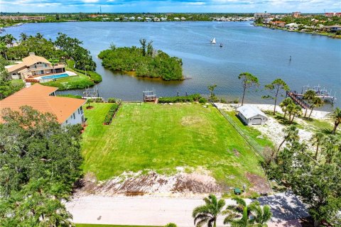 Land in Nokomis, Florida № 1844376 - photo 6
