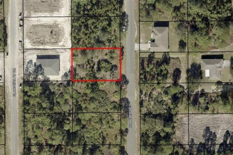 Land in Palm Bay, Florida № 2160479
