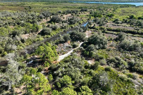 Land in Punta Gorda, Florida № 2161831 - photo 2