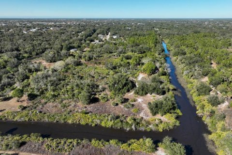 Land in Punta Gorda, Florida № 2161831 - photo 4