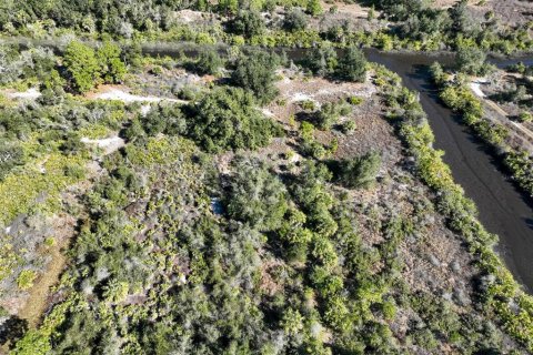 Land in Punta Gorda, Florida № 2161831