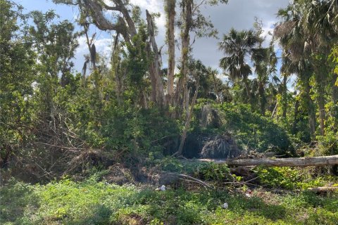 Land in North Fort Myers, Florida № 474979 - photo 5