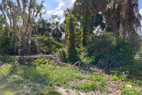 Land in North Fort Myers, Florida № 474979 - photo 3