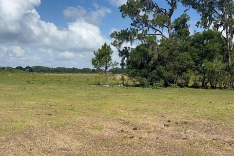 Terreno en venta en Winter Haven, Florida № 1655041 - foto 3