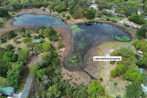 Terreno en venta en Ocklawaha, Florida № 2214659 - foto 2