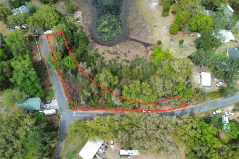 Land in Ocklawaha, Florida № 2214659