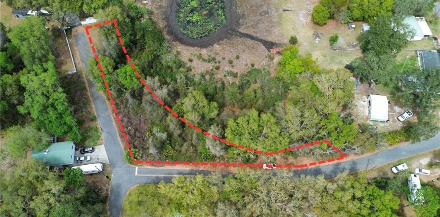 Terreno en Ocklawaha, Florida № 2214659