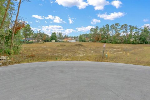 Terreno en venta en Ocala, Florida № 1767326 - foto 1