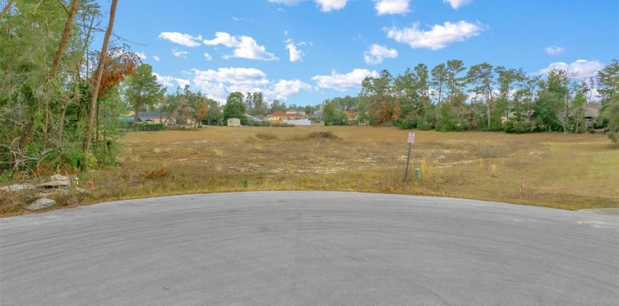Terreno en Ocala, Florida № 1767326