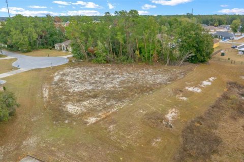 Terreno en venta en Ocala, Florida № 1767326 - foto 9