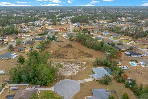 Terreno en venta en Ocala, Florida № 1767326 - foto 5