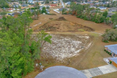 Terreno en venta en Ocala, Florida № 1767326 - foto 3