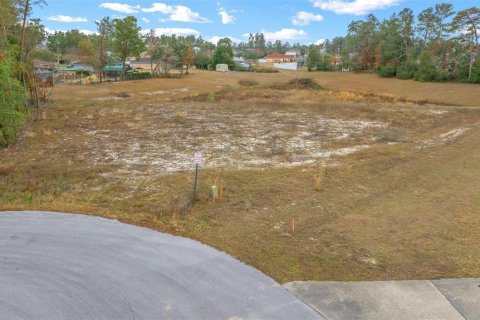 Terreno en venta en Ocala, Florida № 1767326 - foto 13