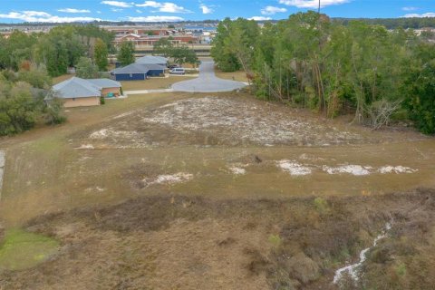 Terreno en venta en Ocala, Florida № 1767326 - foto 8