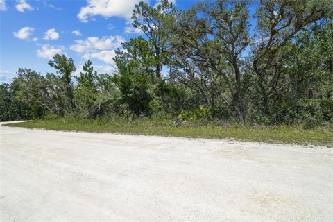 Land in Weeki Wachee, Florida № 577377 - photo 17
