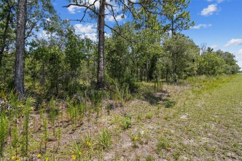 Land in Weeki Wachee, Florida № 577377 - photo 22