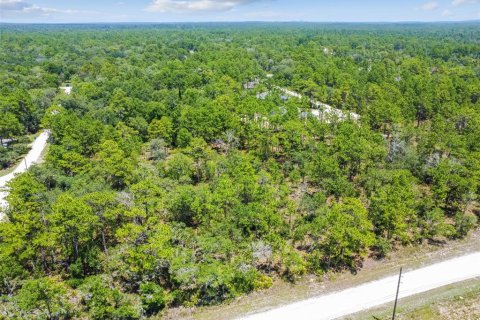 Land in Weeki Wachee, Florida № 577377 - photo 28