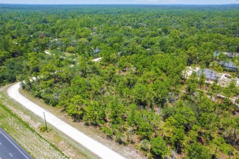 Land in Weeki Wachee, Florida № 577377 - photo 24