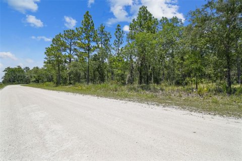Land in Weeki Wachee, Florida № 577377 - photo 11
