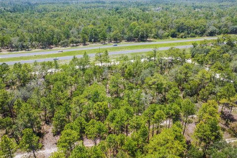 Land in Weeki Wachee, Florida № 577377 - photo 8