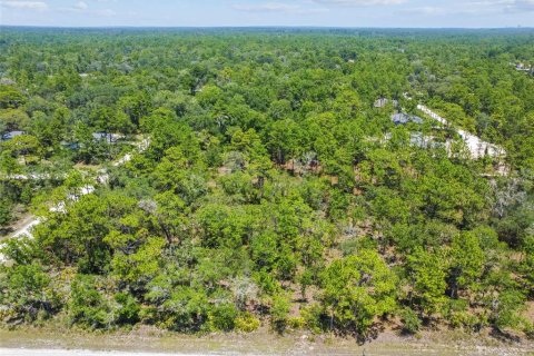 Land in Weeki Wachee, Florida № 577377 - photo 29